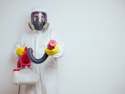 About Pest Control Scottsdale - pest control scottsdale experts in Scottsdale